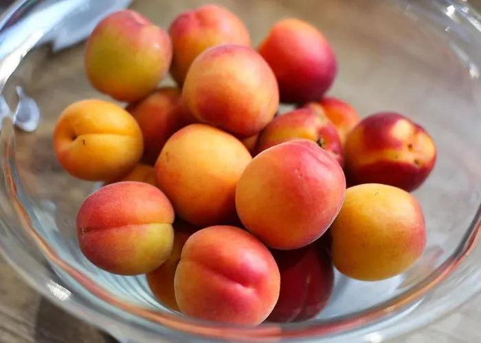 ホテル Bellavista