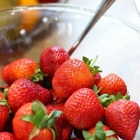 Bellavista Hotel Locarno